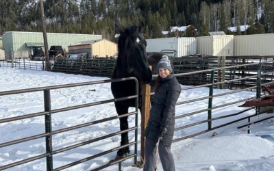 Are you ready for the ride?